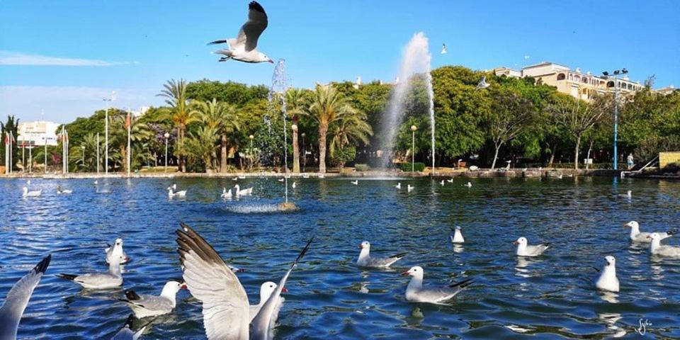 Torrevieja Experience San Julian Apartment ภายนอก รูปภาพ